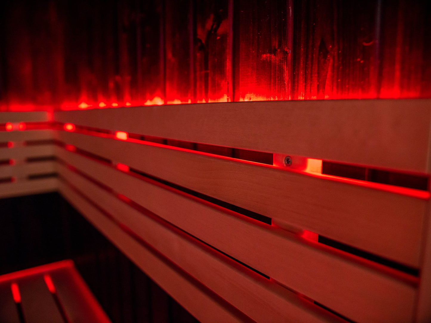 Fenix sauna with LED lighting on a wooden bench.